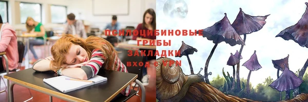 spice Абинск