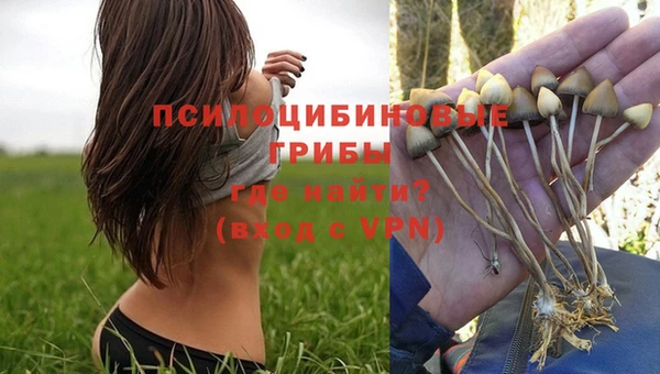 первитин Абаза